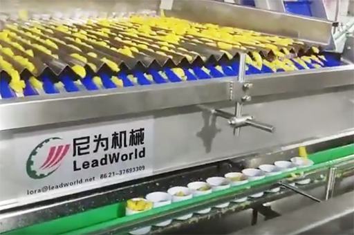 振動灌裝機(jī)